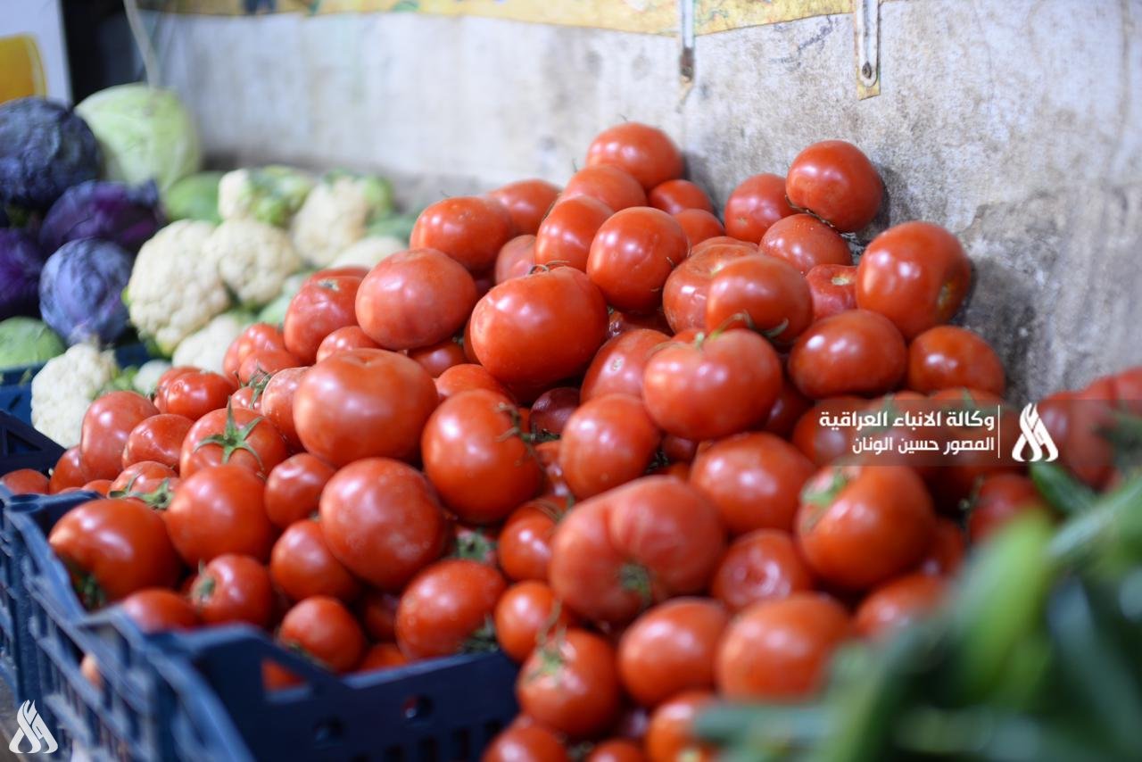 البصرة تتوقع إنتاج 700 ألف طن من الطماطم خلال الموسم الحالي